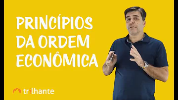 O que é ordem econômica brasileira?