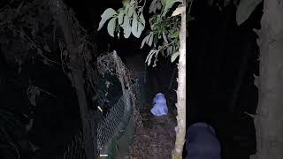 ভয়ঙ্কর কান্না: রাতের নিস্তব্ধতায় অদ্ভুত ভূতের শব্দ 👻 | Real Paranormal Encounter  #horror