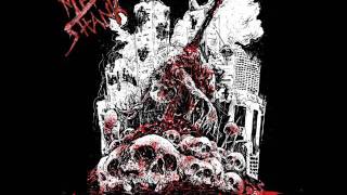 Download Lagu Meatshank - Ruins of Depravity (Full Album, 2017) MP3