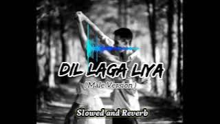 Dil laga liya (Male version) lofi ।। Slowed and Reverb song
