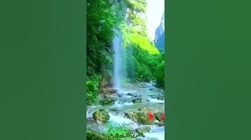 سورة غافر- عبد الباسط عبد الصمد(رَبَّنَا وَسِعْتَ كُلَّ شَيْءٍ رَحْمَةً وَعِلْمًا فَاغْفِرْ )