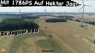 Mit 1786PS Auf Hektar Jagt! 2 Claas Jaguar 980 mit 7m Direkt Disc Großeinsatz GPS-Ganzpflanzensilage