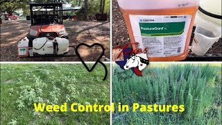 Pasture Weed Control | Regenerative Ranching