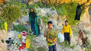 HiddensecretsofZagros|Nomadic life and the discoveryofraremedicinalplantsintheheartof the mountains🌿