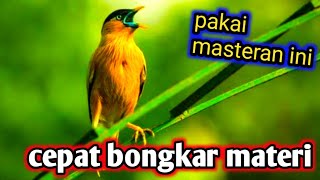 MASTERAN KACER CEPAT BONGKAR ISIAN MATERI LENGKAP!! pakai masteran ini