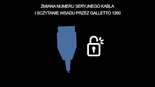 Sczytanie Wsadu Przez Kabel Inpy Galletto 1260