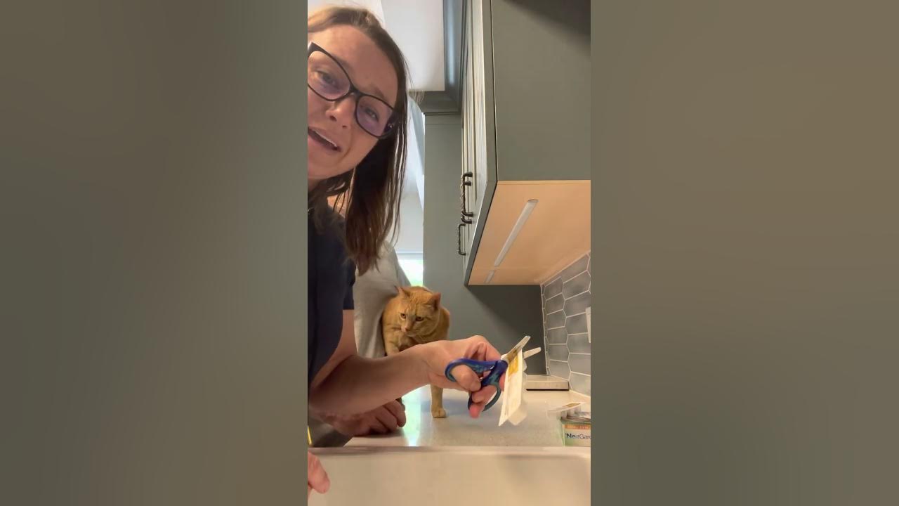 Applying Nexgard Combo topical parasite treatment to a cat named