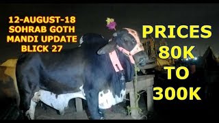 Cattle Prices and Bargaining Block 27 - Sohrab Goth Mandi Update 12 August 2018