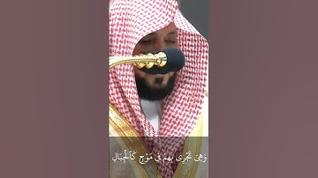 سوره هود بصوت ماهر المعيقلي اكتب شي تؤجر عليه #قران_كريم #قرآن #سورة_هود #ماهر_المعيقلي #راحة_نفسية