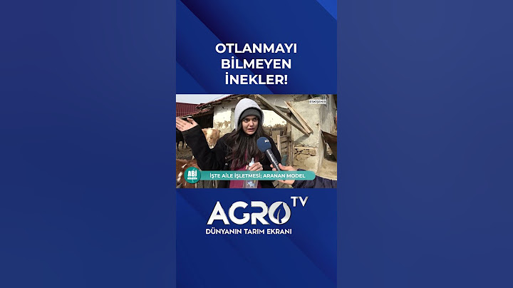 Merada Otlanmayı Bilmeyen İnekler İzlenme Rekoru Kırdı #shorts #inek