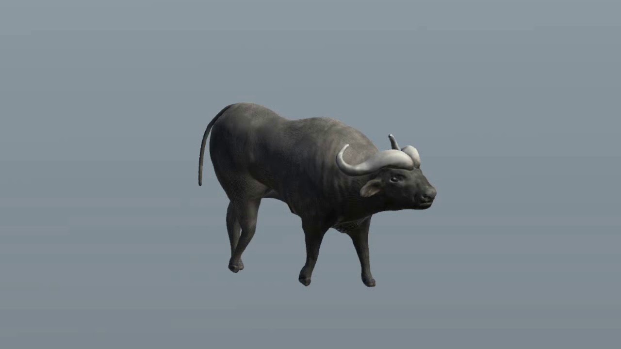 [studio BARON] Unity - Bison - YouTube