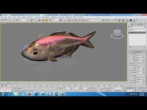  Animasi  ikan  bones 3d  s max YouTube