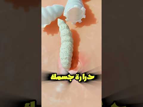 ليه الناموسة بتبيض على رجليك Shortvideo 