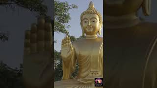 Relaxing Piano Music 🌙 Calm Night Ambience for Deep Sleep &amp; Meditation#shorts#relaxing