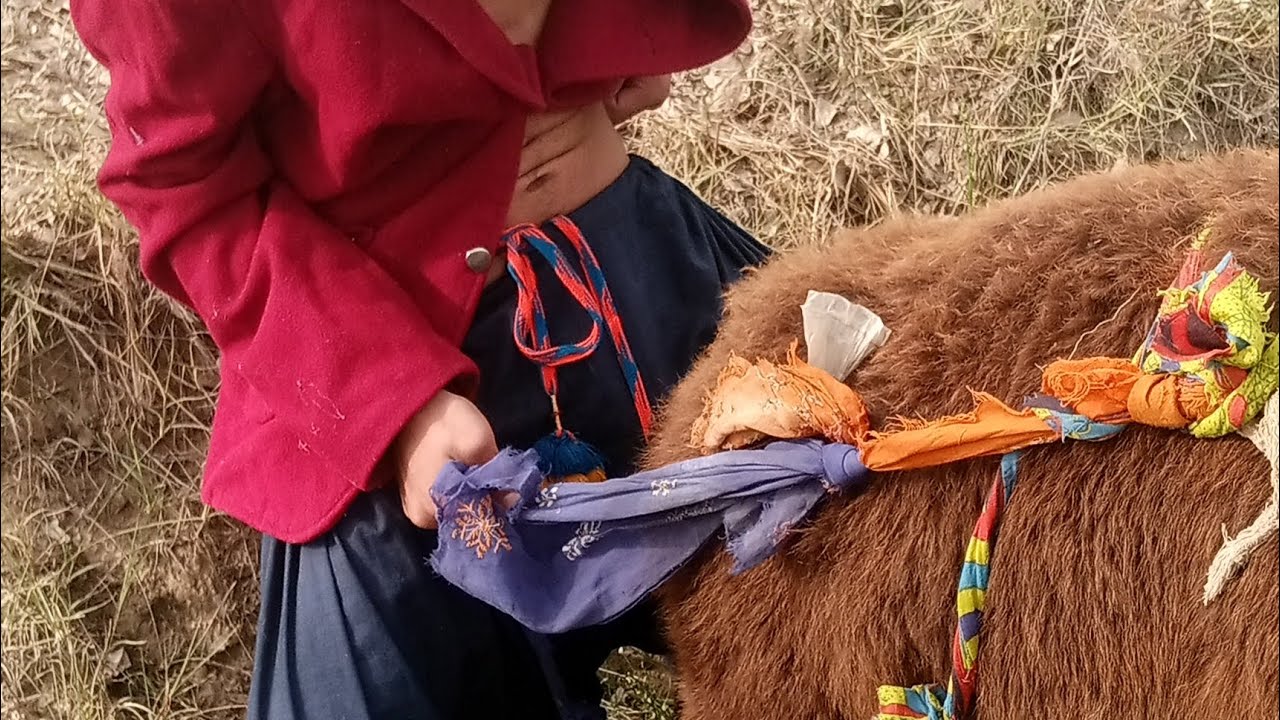 My donkey funny🤣🤣😂#foryou #animals #goat #donkeykong #villagelife #comedy #funny #viralvideo #new 