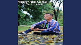 Download Lagu Burung Dalam Sangkar Download Lagu Burung Dalam Sangkar
