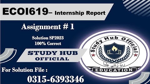 ECOi619 assignment 1 internship report