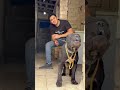 انا يلا انا نجم الحبكة انا يلا انا نجم الحبكة