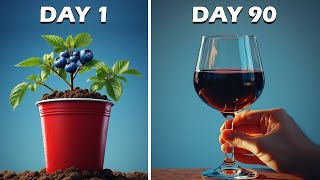 I Made the BEST Blueberry Mead