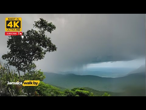 ✔️Jamaica Raining Falling • Deep Peacfulness, Relaxing Music, Stress Relief, Meditation Music