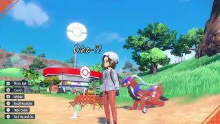 Pokémon act weird in picnics... [Pokémon Scarlet/Violet]