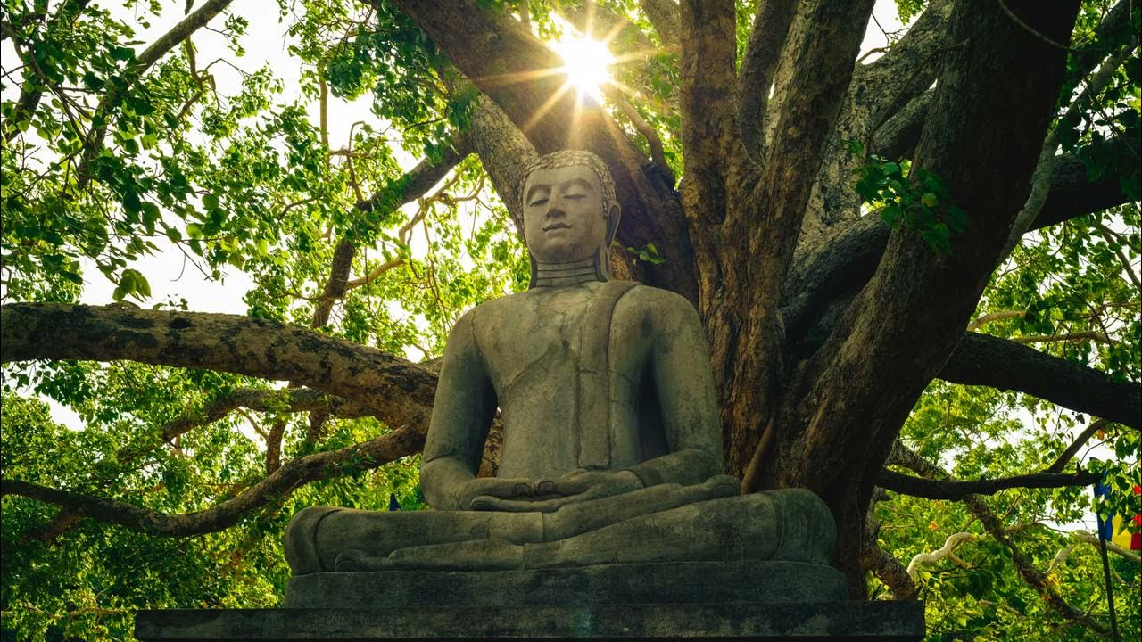 Buddha's Flute Music | Heart's Awaking Buddha's Flute Music | Heart's Awaking