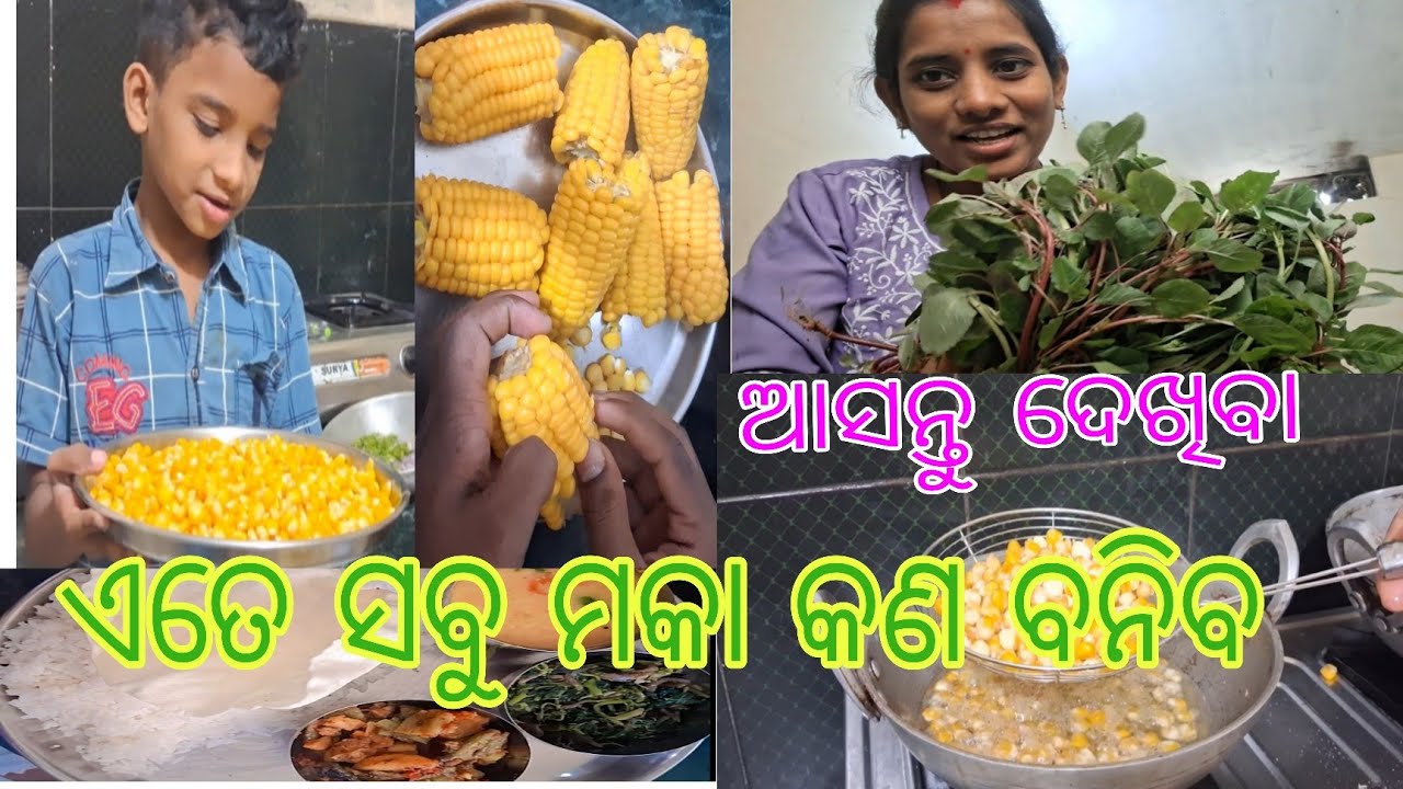 ଆସନ୍ତୁ ଦେଖିବା ଏତେ ସବୁ ମକା କଣ ବନିବ | ଓଡ଼ିଆ family vlog 