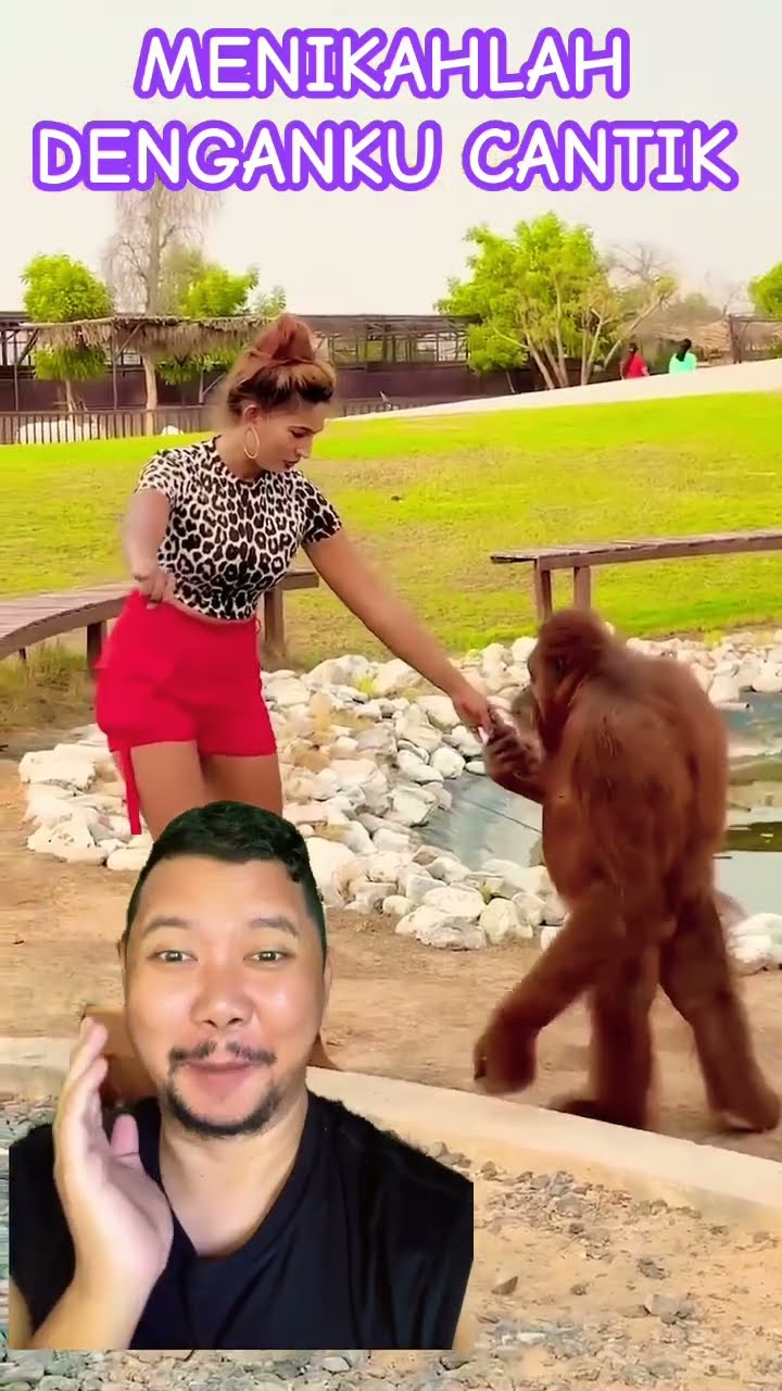MENIKAHLAH DENGANKU CANTIK!!??? #comedy #zoo #funny #animals #monkey