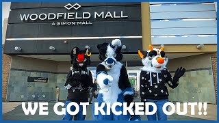 Fursuiting at the Mall! (WE GOT KICKED OUT!!!)