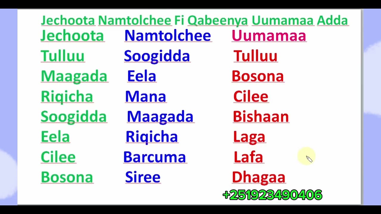 Jechoota Namtolchee Fi Qabeenya Uumamaa Adda baasuu # Learn Afaan Oromoo #Amharic English letters
