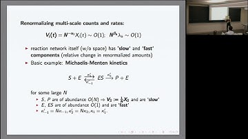 Lea Popovic | Spatial effects in stochastic dynamics of intracellular networks
