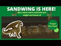 SANDWING IS OUT! - A nice little Sandwing showcase (Also Viper Pet!)