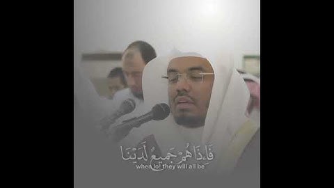ياسر الدوسري /قرآن كريم/ مقاطع قصيرة/ تلاوة عطرة خاشعة / حالات واتساب دينية