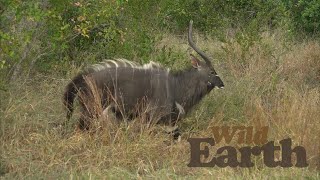 Download Lagu Nyala Two-step MP3