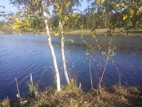 Как найти себе деревню? Деревни в Нижегородской области/ Где лучше?