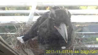20171103T1530~1600