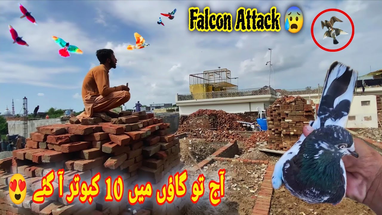 Mosam🌦️ Saf Howa Or Gaon Me Kabutar Ki Barish🕊️ کسی کا کبوتر باز 🦅 پکڑ کر لے گیا 😰