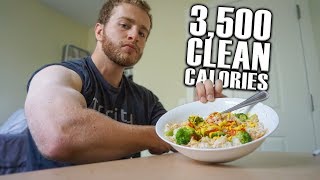 My Clean Eating Diet | 3,500 Calories Full Day of Eating