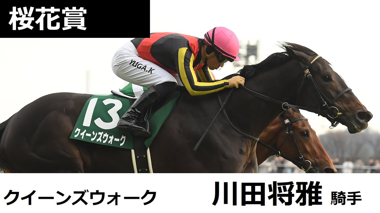 Queen徹底活用マニュアル 万馬券製造機Queen Special 〈競馬予… ティアーズクィーン (Tears Queen) | 競走馬データ - netkeiba