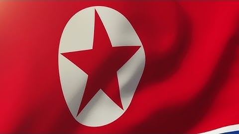 North Korea Flag Waving In The Wind. Looping Sun Rises Style. Animation Loop Stock Animation