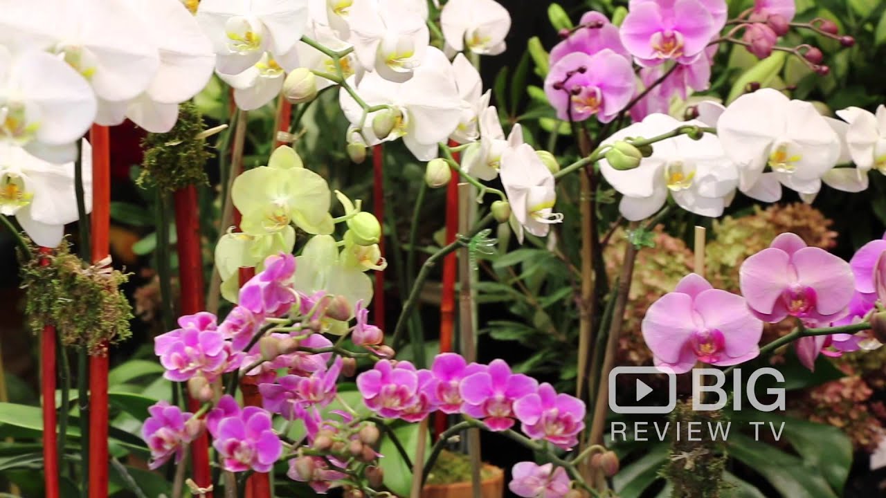 Flowers on the Park Florist Shop in New York NY offering Floral Design and Bouquet