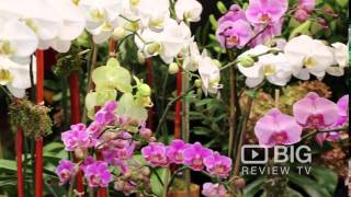 Flowers on the Park Florist Shop in New York NY offering Floral Design and Bouquet Wealth