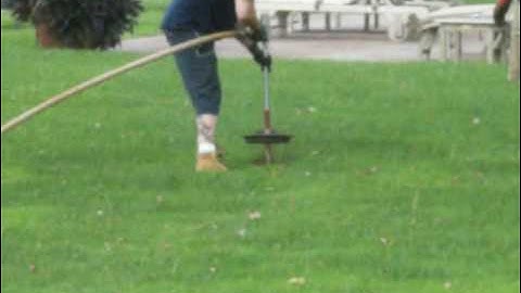 Tree Health Vertical mulching airspade