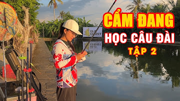 Cẩm Đang học câu đài - Tập 2 - Những dụng cụ câu đài cơ bản