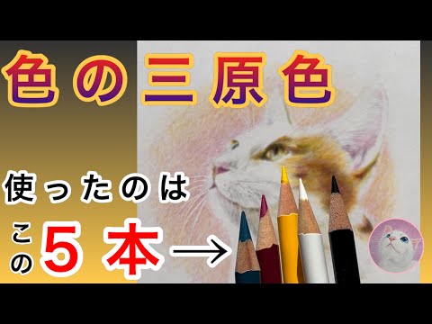 色の三原色》たった5本だけで描く色鉛筆画【猫】Drawing a cat