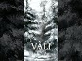 Vàli - Forlatt  #folk #darkfolk #neofolk #neoclassical #ambient #nature #Norway #shorts