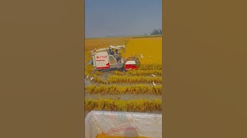 CAM Mini Combine Harvester || Pani Mein Chalne Wala Harvester #viral #trending #harvester