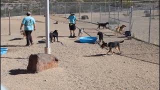 103241 video B 3 15 2026  OZ 103241 in playgroup