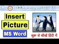 How to insert and style picture in ms word  anjali bhardwaj