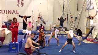 Stanford Mens Gymnastics Harlem Shake